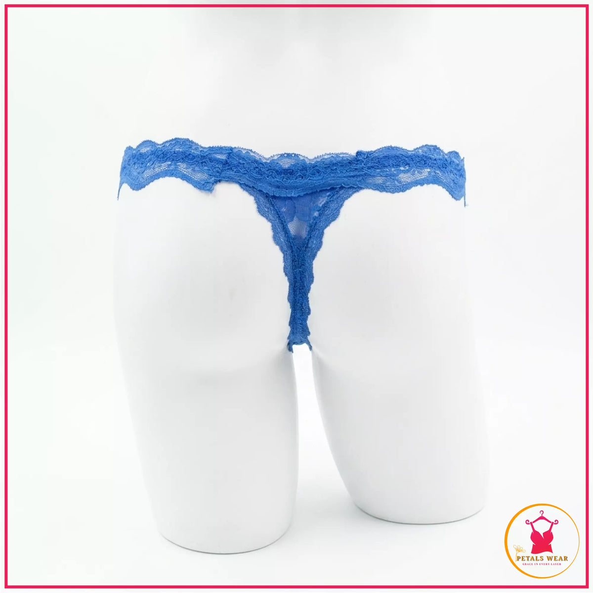 Women's Embroidered Lace Bikini Panty