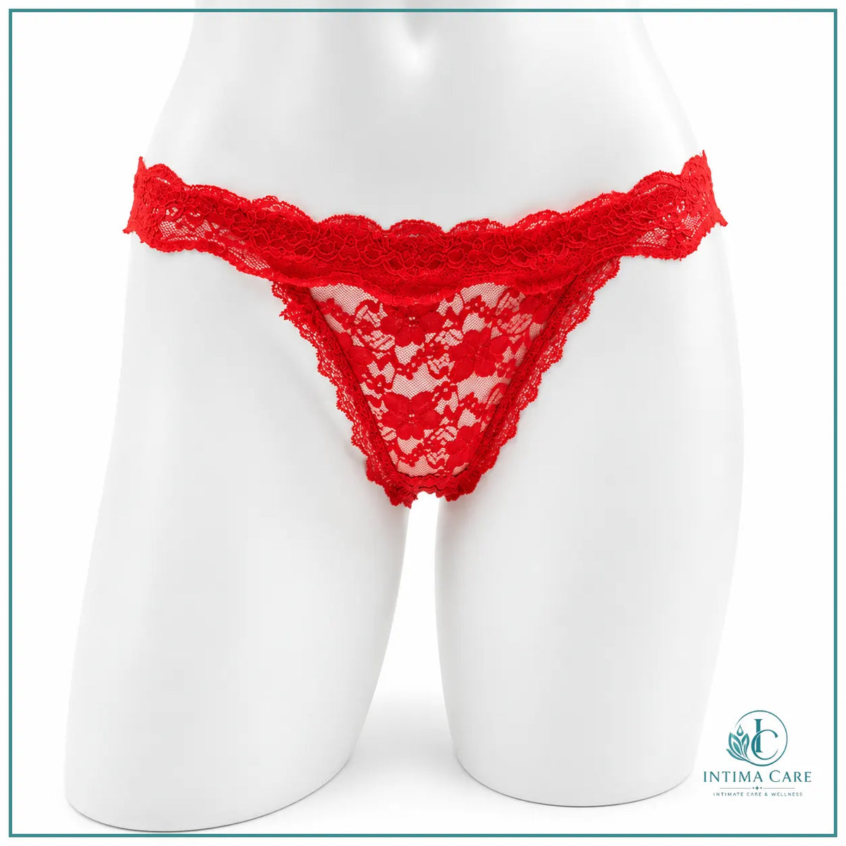 Ladies embroidered lace panty in Small Medium and Large sizes
