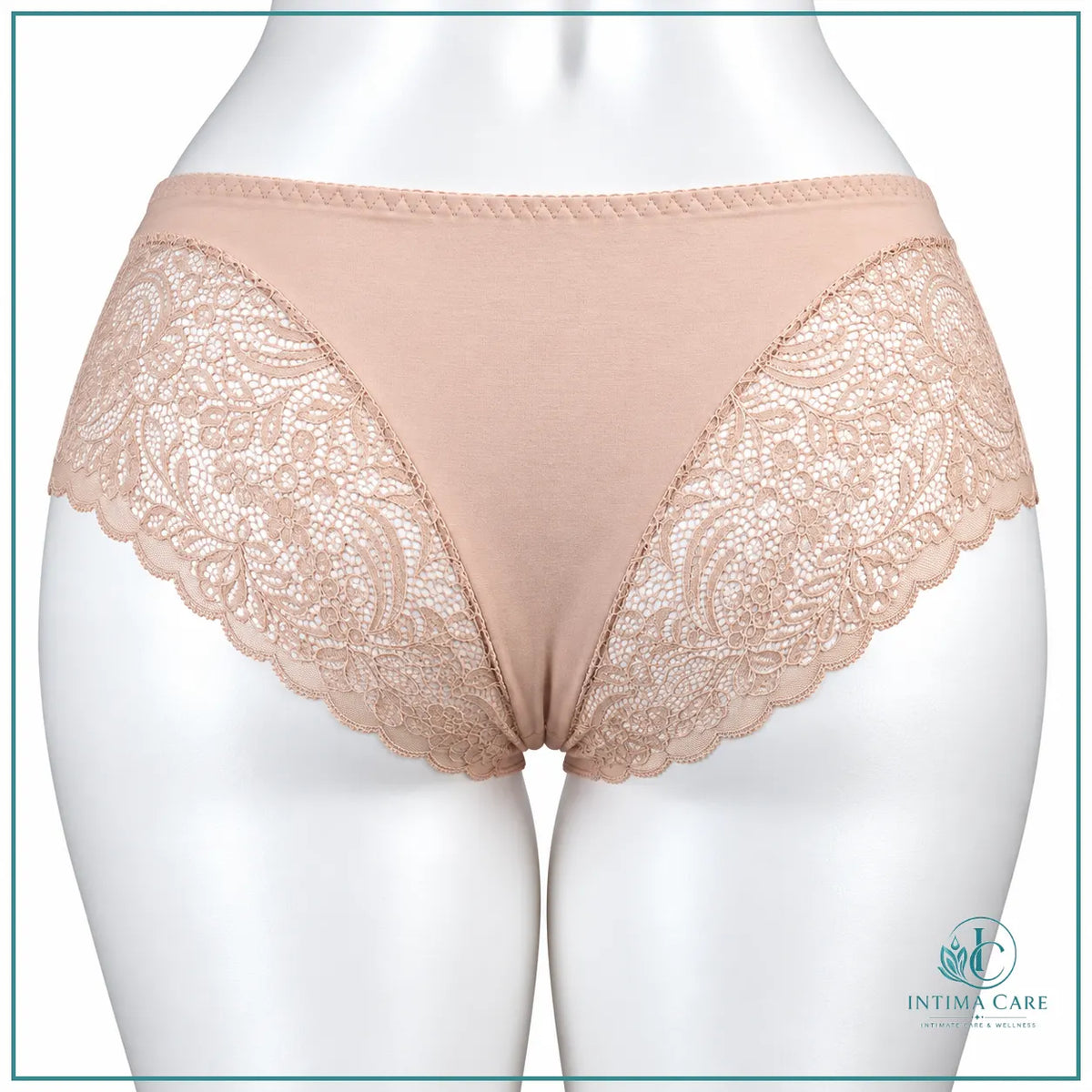 Stylish embroidered lace panty for everyday lingerie collections