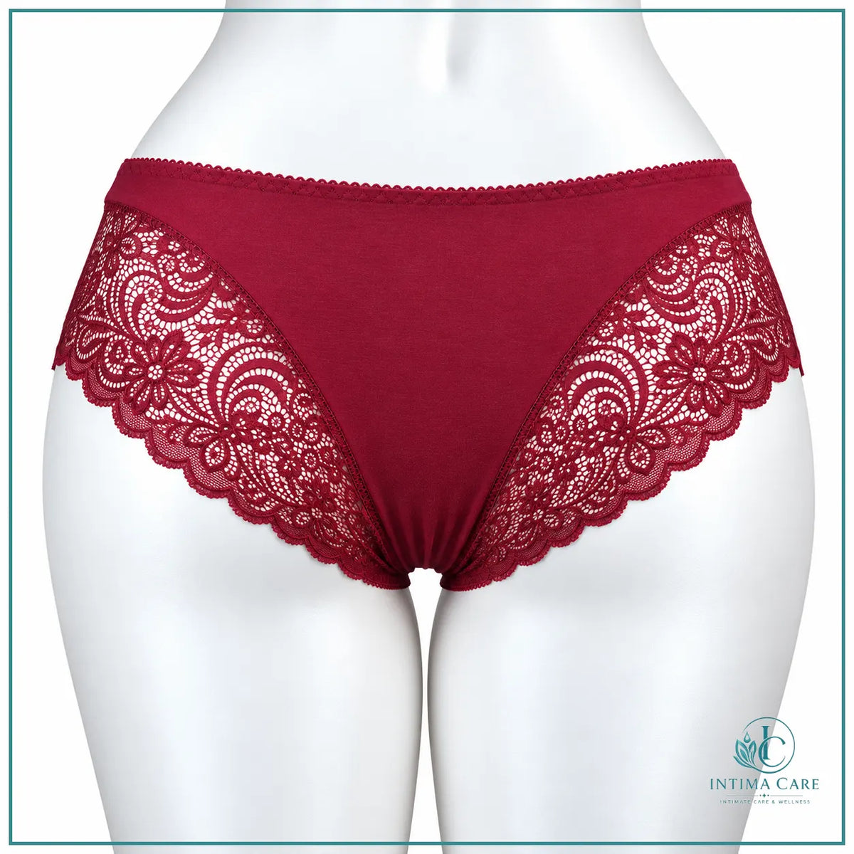 Embroidered lace everyday comfort panty for women